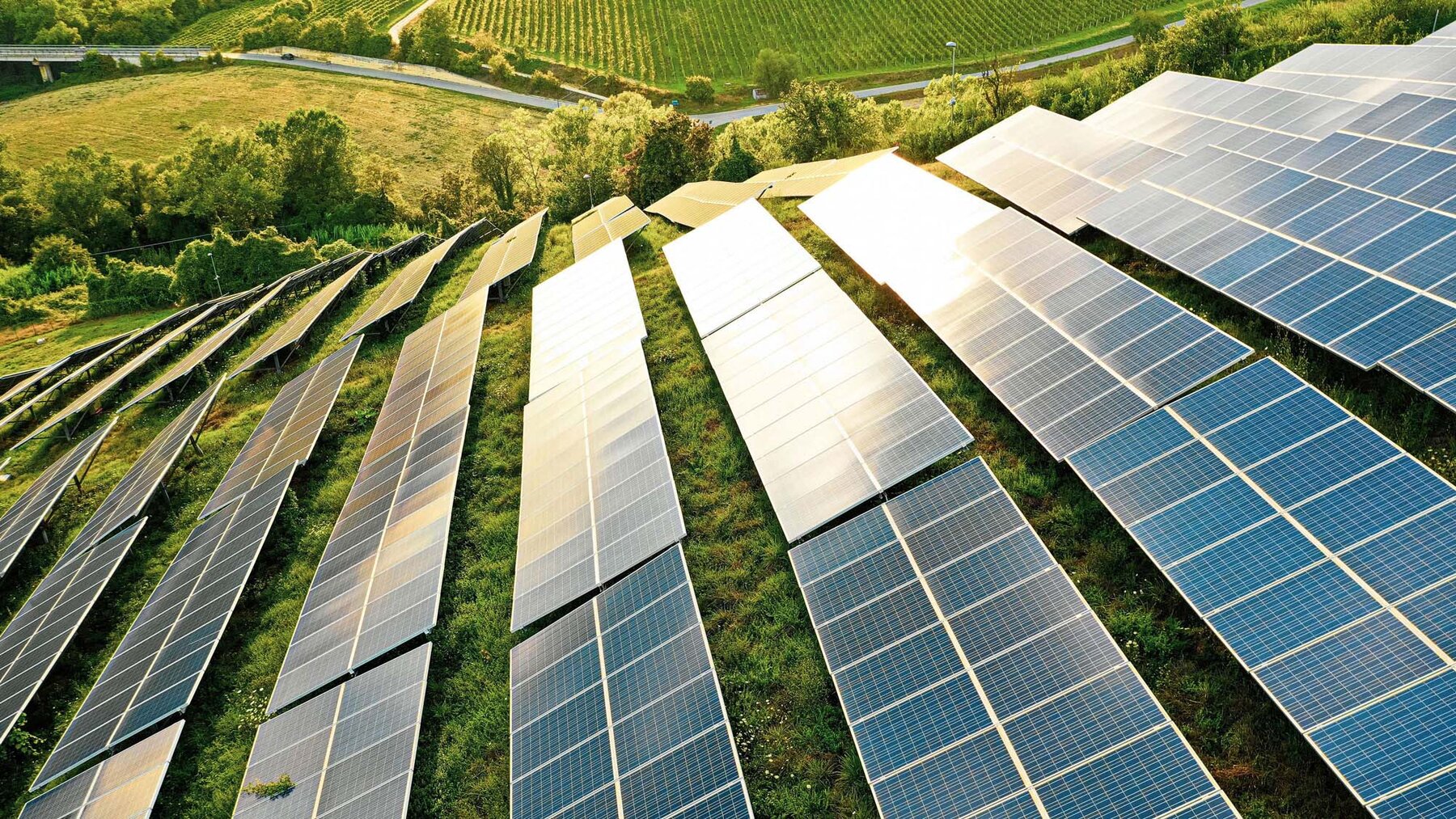 Solar panel field green